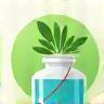 Produits de lavage certifiés biologiques